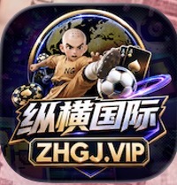 纵横国际